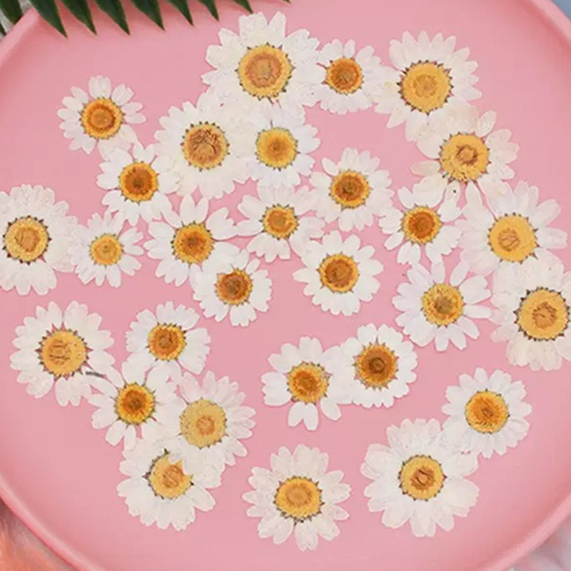 Photo Frame Baby - 100Pcs Natural White Crystal Chrysanthemum Daisy