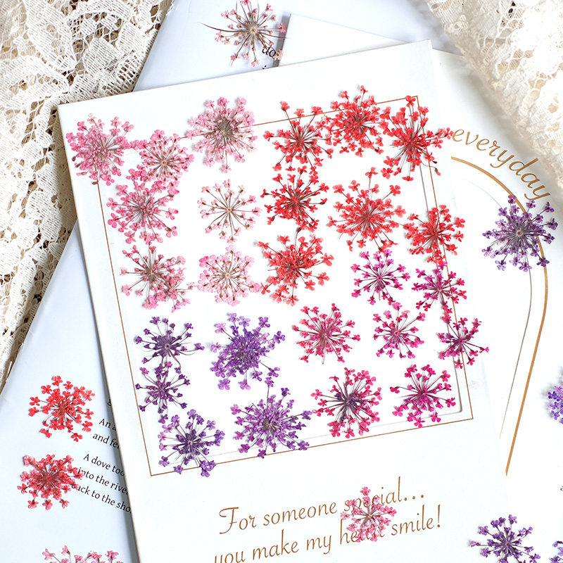 Photo Frame Baby - 24pcs,2-2.5cm,nature Dyed Mini Lace Pressed Flower