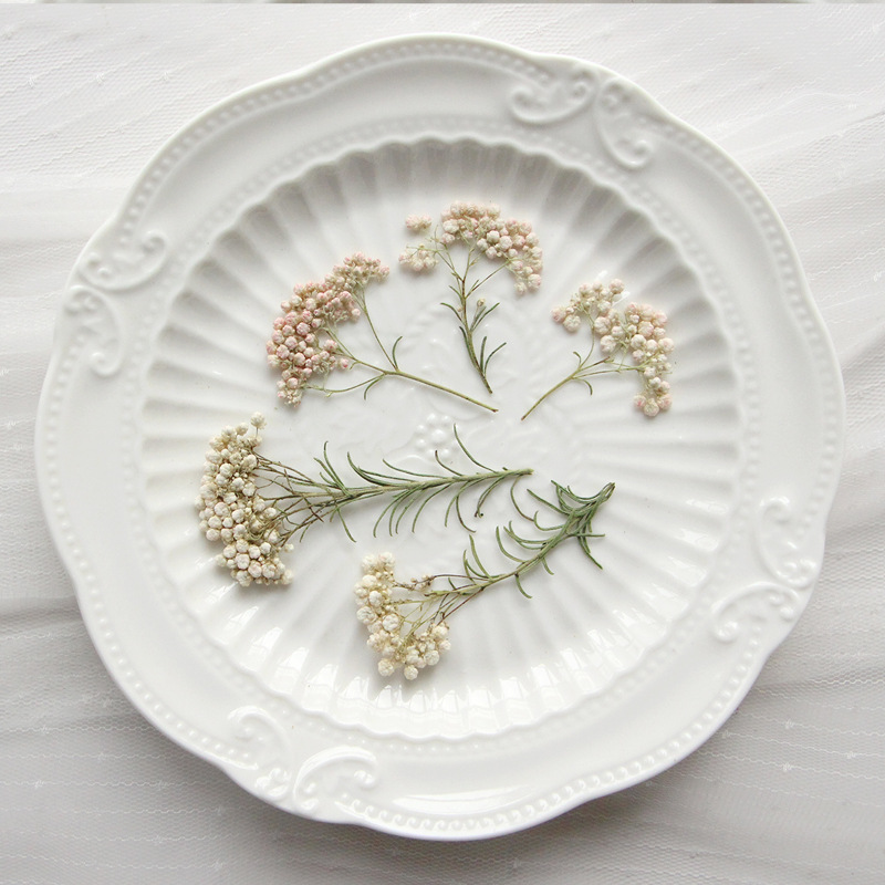 Photo Frame Baby - 12pcs,Nature Millet flower branches,pressed dried flower