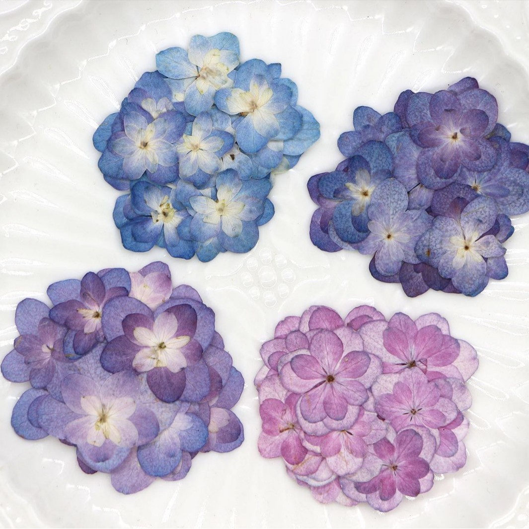 Photo Frame Baby - 60Pcs Mini Double-Flowered Hydrangea Dried Flowers