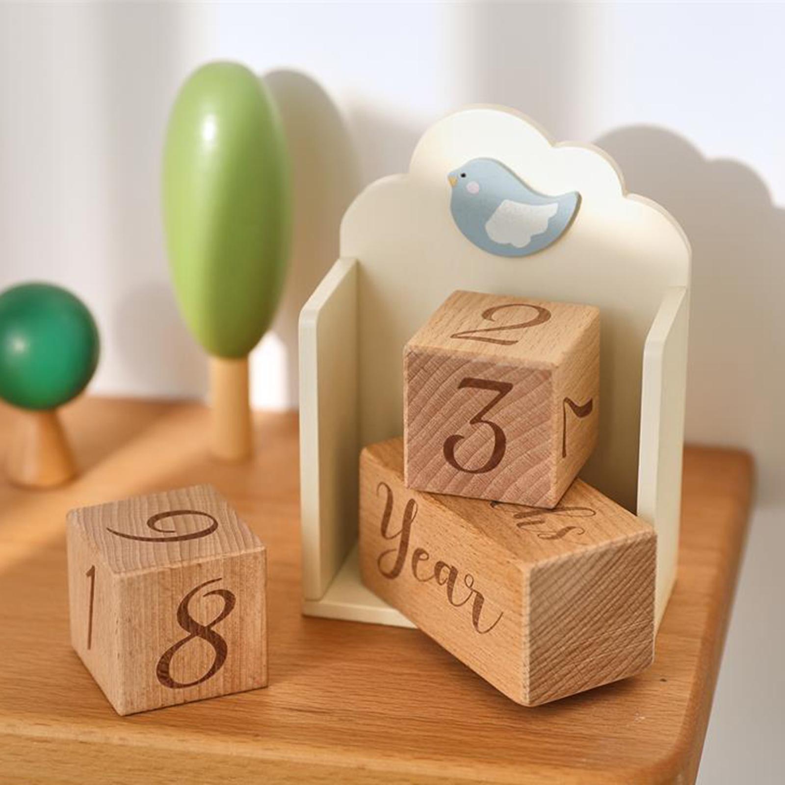 Wooden Baby Age Blocks Unique  - Baby Nursery Age ulasan dan harga