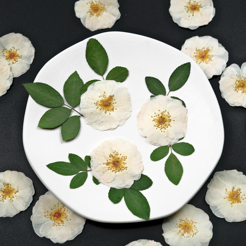 6pcs,9pcs,Nature White Rose Pr - Photo Frame Baby ulasan dan harga