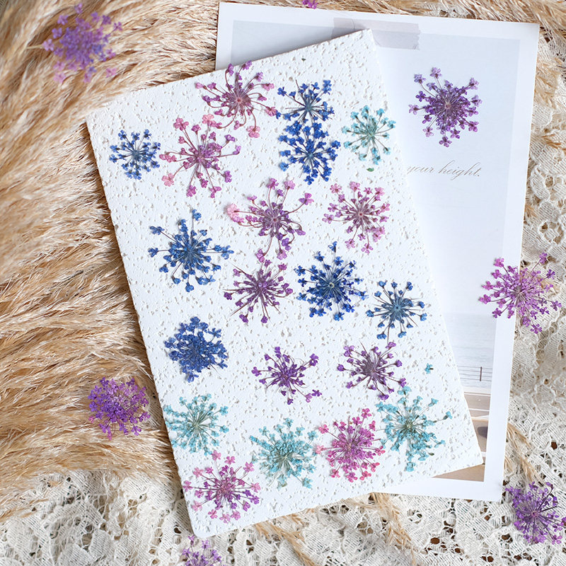 24pcs,2-2.5cm,nature Dyed Mini - Photo Frame Baby ulasan dan harga